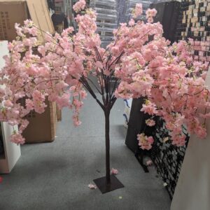 Cherry Blossom Tree
