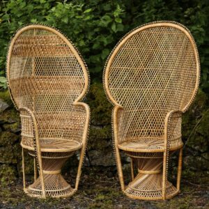 Peacock Chair